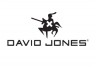 David Jones