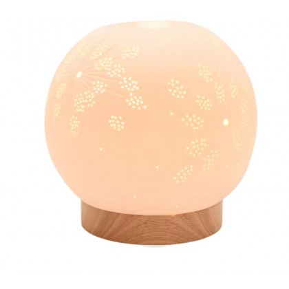 Diffusers & Room Fragrance
