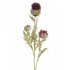 Thistle Cynara Spray