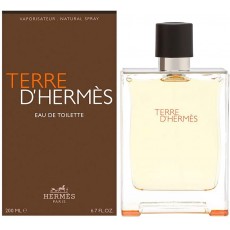 Terre d'Hermes Eau de Toilette 50ml Natural Spray