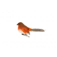 Brown Robin On Clip