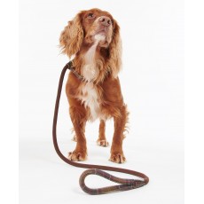 Barbour Tartan Trimmed Slip Dog Lead Classic Tartan