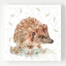 Ceramic Coaster Pack4-Little Hedgehog