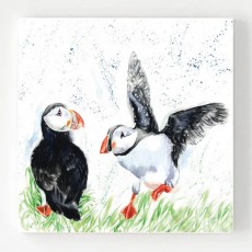 Ceramic Coaster Pack4-Puffin Landin