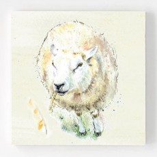 Ceramic Coaster Pack4-Sheep