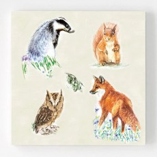 Ceramic Coaster Pack4-Woodland Residents