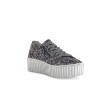 Gabor Print Trainer