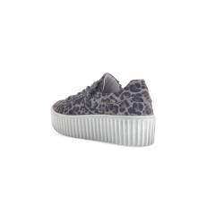 Gabor Print Trainer