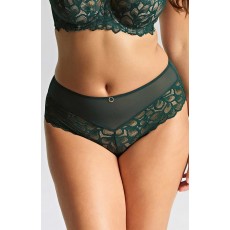 Allure Deep Brief