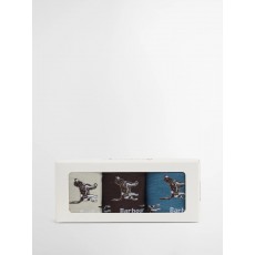 Barbour Pointer Dog Socks Giftset