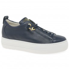 Paul Green Trainer