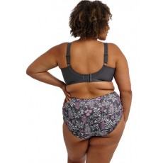 Goddess Kayla Brief Goddess Kayla Brief