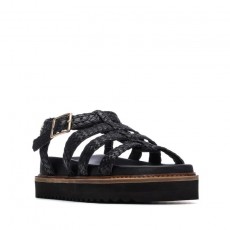 Carmela Gladiator Sandal