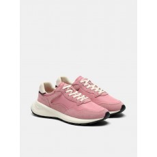 Hoff City MKII  Trainer