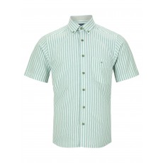 DG's Drifter SS Regular/Ivano  Shirt