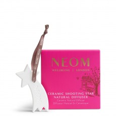 Ceramic Star Natural Diffuser 2026 Ceramic Star Natural Diffuser 2026