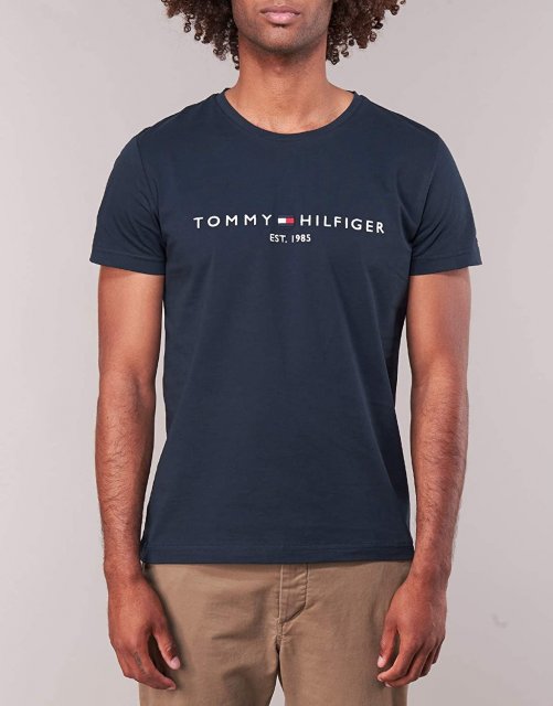 Tommy Hilfiger classic logo t-shirt in light blue