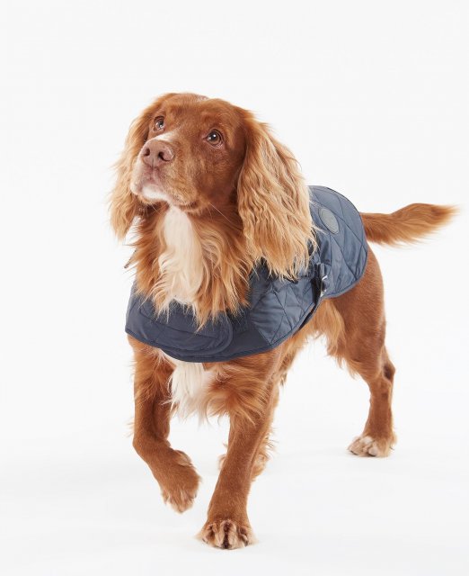 Barbour Quilted Dog Coat