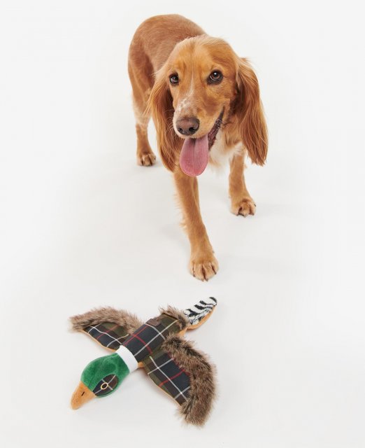 Barbour Pheasant Dog Toy classic Tartan