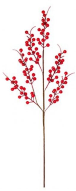 Red Berries Stem