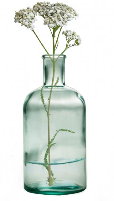 Green House Medium Bottle Vase in 100% Recycled Glass