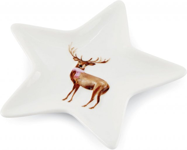 Xmas Christmas Stag-Ceramic Tea Bag Tidy