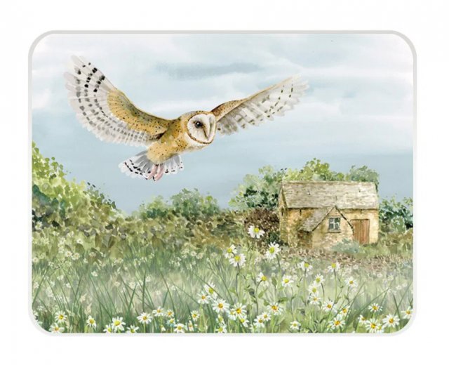Eddingtons National Trust Barn Owl Medium Worktop Protector