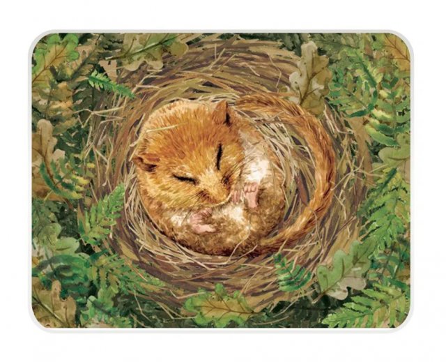 Eddingtons National Trust Dormouse Medium Worktop Protector