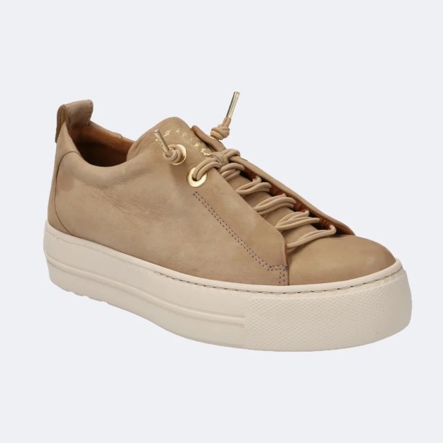 Paul Green Trainer