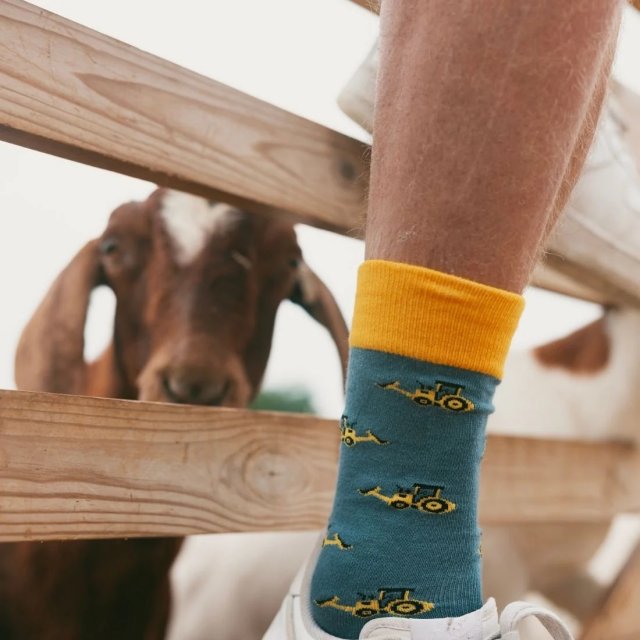 Swole Panda Yellow Digger Socks