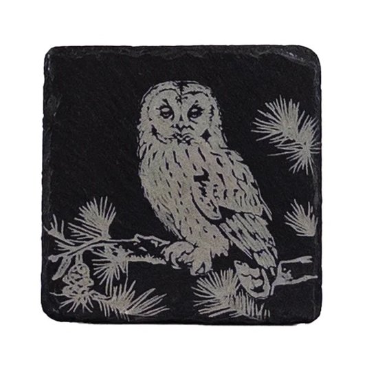 Single Slate Coaster-Tawny Owl