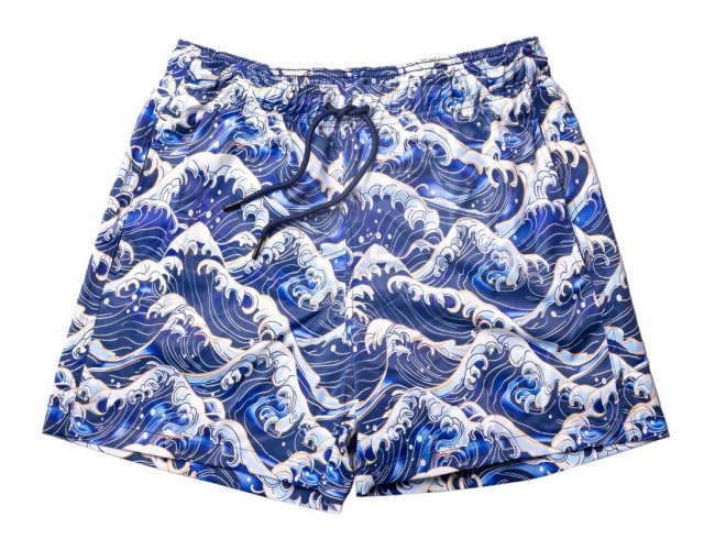 HydroMotion Swim Shorts