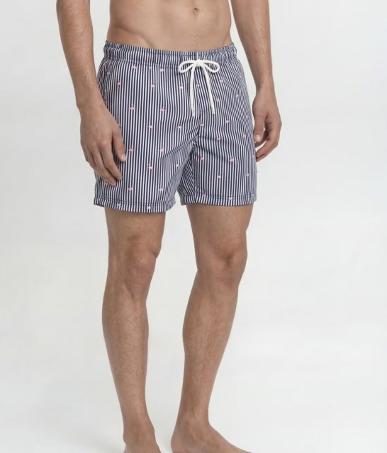Jack & Jones Maui Breeze Mini Stripe Swim Short