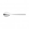 Stellar Rochester Tea Spoon