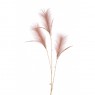 Floralsilk Pink Pampas Spray