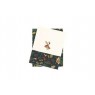 Enchanted Forest Robin Tea Towel Set of 2