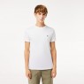 Lacoste Tee Shirt