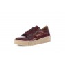 Gabor Trainer